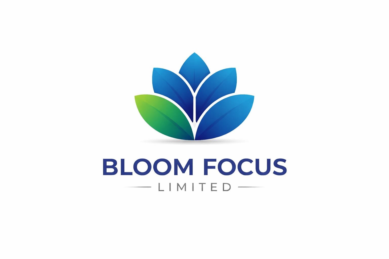 Bloom Focus Logo